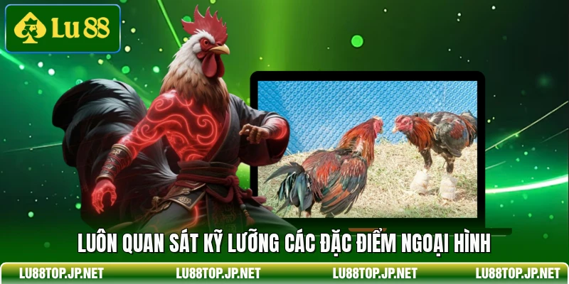 Luôn quan sát kỹ lưỡng các đặc điểm ngoại hình